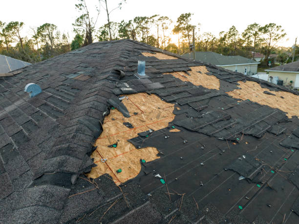 Best Skylight Installation and Repair  in Hamilton Square, NJ